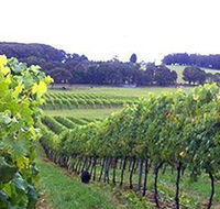 Banjo's Run Winery and Vineyard - Accommodation Batemans Bay