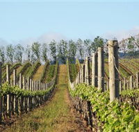 Philip Shaw Wines - Accommodation Batemans Bay