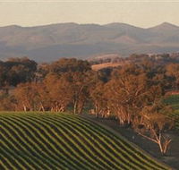 Angullong Wines - Accommodation Batemans Bay