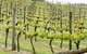 Bantry Grove - thumb 0