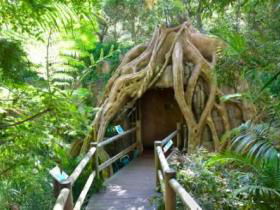 Cedar Creek Estate Vineyard And Winery - Accommodation Batemans Bay 1
