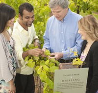 Jacob's Creek Vineyard Tour - Accommodation Batemans Bay