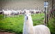 Gemtree Vineyards Cellar Door - thumb 0