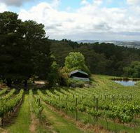 Arranmore Wines - Accommodation Batemans Bay