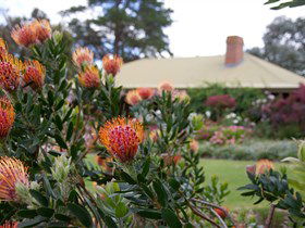 Lavina Wines - Accommodation Batemans Bay 3