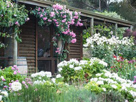 Lavina Wines - Accommodation Batemans Bay 0