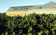 Padthaway Estate Winery - thumb 0