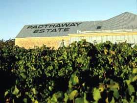 Padthaway Estate Winery - Accommodation Batemans Bay 0