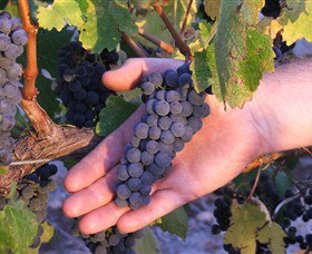 Bet Bet VIC Accommodation Batemans Bay