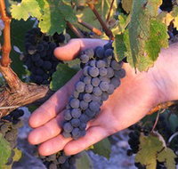 Eagles Rise Wine - Accommodation Batemans Bay