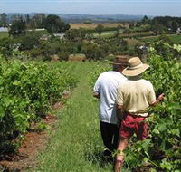 Sir Paz Estate - Accommodation Batemans Bay