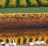 Pipers Brook Vineyard - Accommodation Batemans Bay
