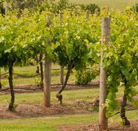 Mt Coghill Vineyard - Accommodation Batemans Bay