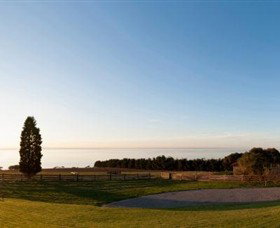 Jack Rabbit Vineyard - Accommodation Batemans Bay 3