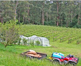 Peveril Vineyard/Beechy Berries - Accommodation Batemans Bay 1