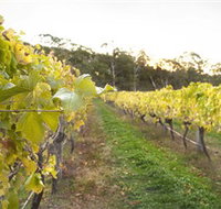 Harcourt Valley Vineyards - Accommodation Batemans Bay