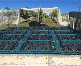 Three Willows Vineyard - Accommodation Batemans Bay 1