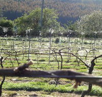 Three Willows Vineyard - Accommodation Batemans Bay