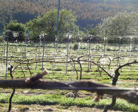 Three Willows Vineyard - Accommodation Batemans Bay 0