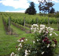 Pembroke Estate Vineyard - Accommodation Batemans Bay
