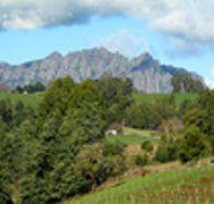 Lake Barrington Vineyard - Accommodation Batemans Bay