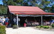 Leaning Church Vineyard - thumb 3