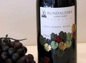 Bundaleera Vineyard - Accommodation Batemans Bay 0
