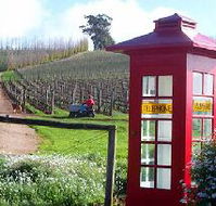 Dalrymple Vineyards - Accommodation Batemans Bay