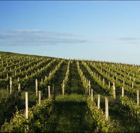 Delamere Vineyard - Accommodation Batemans Bay