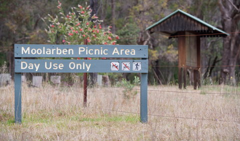 Moolarben Picnic Area - Accommodation Batemans Bay 1
