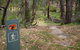 Moolarben Picnic Area - thumb 0