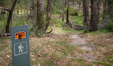 Moolarben Picnic Area - Accommodation Batemans Bay 0