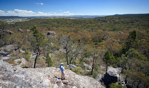 Munghorn Gap Nature Reserve - Accommodation Batemans Bay 1