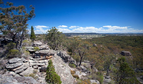 Munghorn Gap Nature Reserve - Accommodation Batemans Bay 0