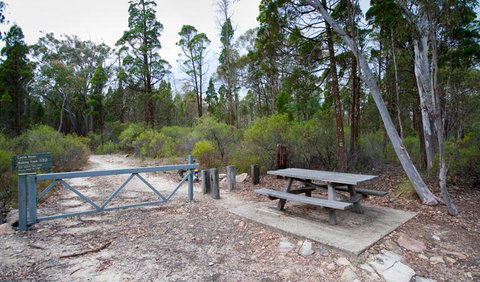 Munghorn Gap Nature Reserve - Accommodation Batemans Bay 2