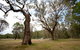Munghorn Gap Nature Reserve - thumb 3