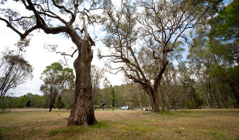 Munghorn Gap Nature Reserve - Accommodation Batemans Bay 3