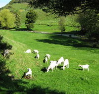 Karmic Goat Soapworks