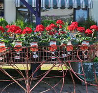 Van Loon's Nursery - Accommodation Batemans Bay