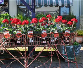 Van Loon's Nursery - Accommodation Batemans Bay 0
