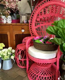 Van Loon's Nursery - Accommodation Batemans Bay 3