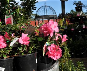 Van Loon's Nursery - Accommodation Batemans Bay 1