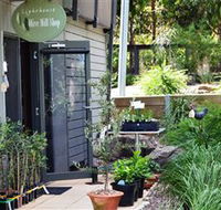 The Lighthouse Olive Mill Shop - Accommodation Batemans Bay