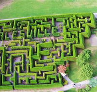 Hedgend Maze and Healesville Laser Sport - Accommodation Batemans Bay