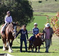 Bathurst Farm Experience - Accommodation Batemans Bay