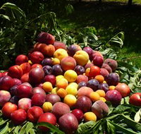 Rayner's Orchard - Accommodation Batemans Bay