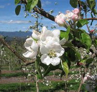 Mouat's Farm - Accommodation Batemans Bay