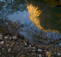Abercrombie Karst Conservation Reserve - Accommodation Batemans Bay