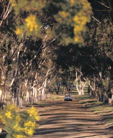 Wickepin ACT Accommodation Batemans Bay
