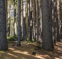 Sugarpine Walk - Accommodation Batemans Bay